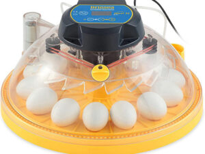 Brinsea Maxi II EX Incubator