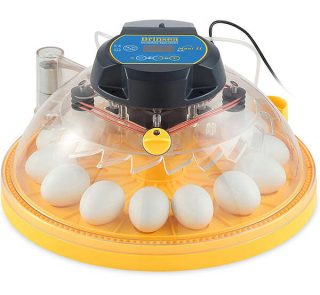 Brinsea Maxi II EX Incubator