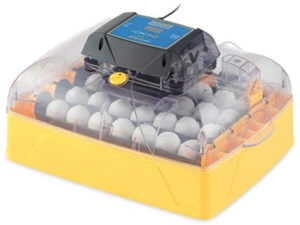 Brinsea Ovation 28 EX Incubator