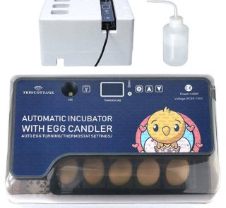 Automatic Incubators With Egg Candler