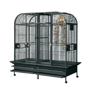 Rainforest Castello II Large Parrot Cage