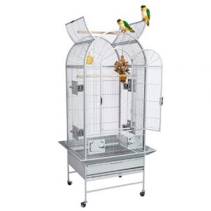 Rc Chile Parrot Cage