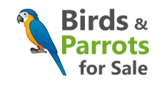 All Parrots Fertile Eggs